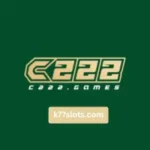 C222 Game