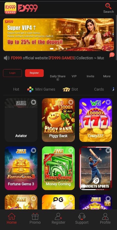FD999 Game