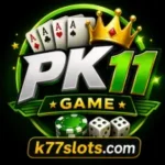 PK11 Game